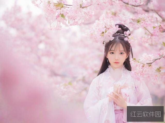 海棠文学城小说网，免费在线阅读的文学乐园