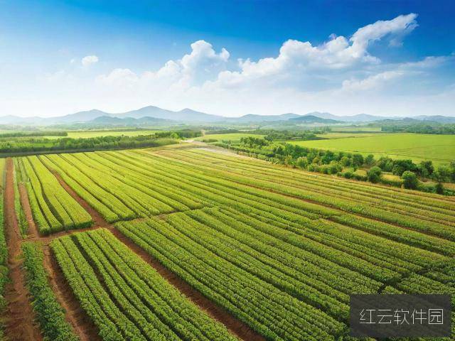 人马畜禽Company Limited，多元化农业企业的创新与可持续发展之路