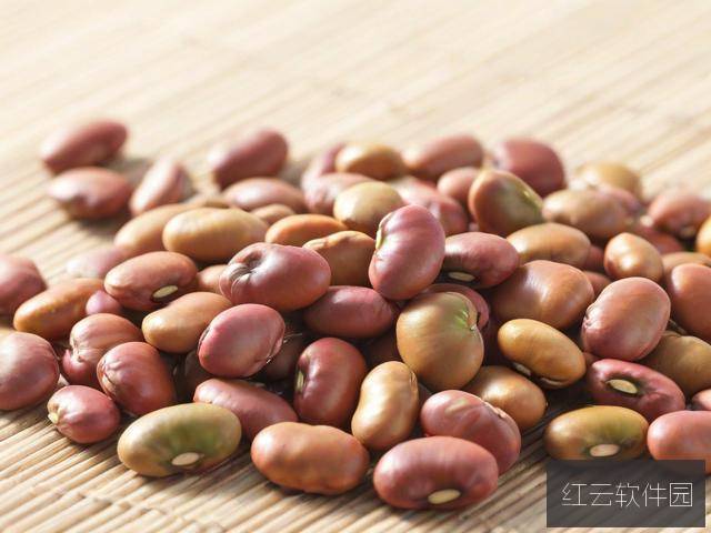 麻豆精产国品一二三产区区别与联系渠道解析