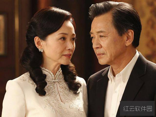 老卫和淑蓉第48集全集免费观看,情感剧的深度剖析