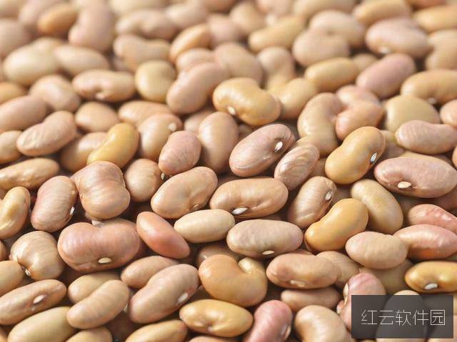 解码精产国品,一、二、三产区差异与麻豆品质密码