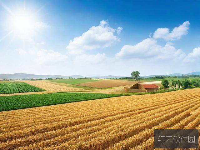 9精产国品一二三产区在线视频,中国农业现代化的数字化转型之路