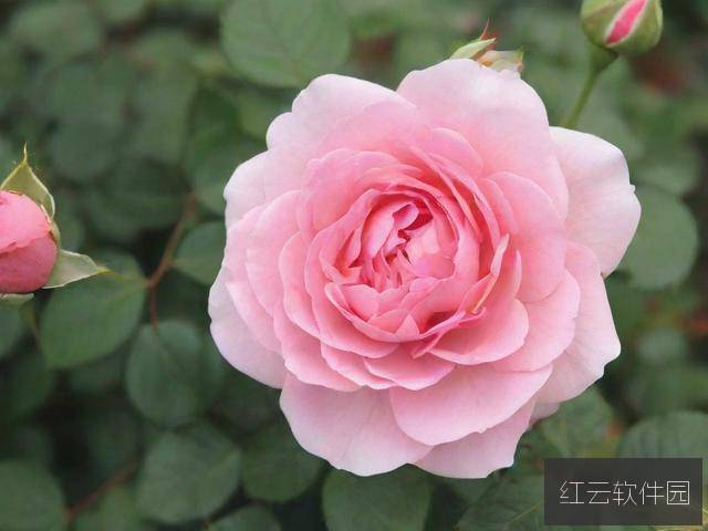 怎么自己弄到高？5种科学验证的天然方法提升身心状态