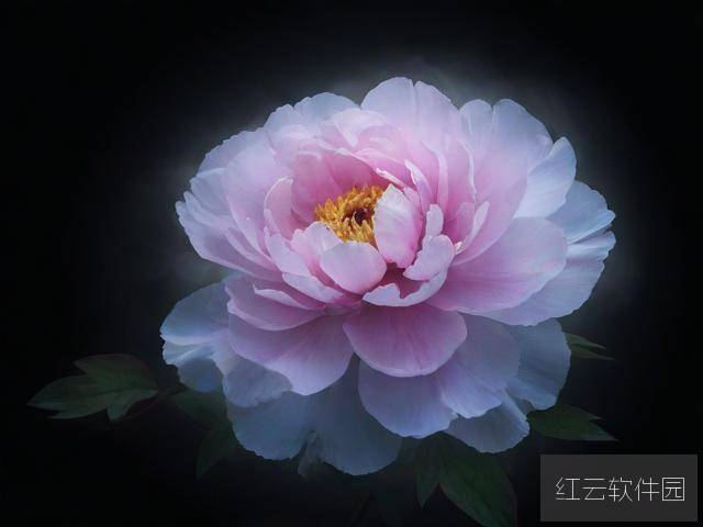 解码国色一卡2卡二卡4卡乱码，数字时代的文化符号与信息迷雾