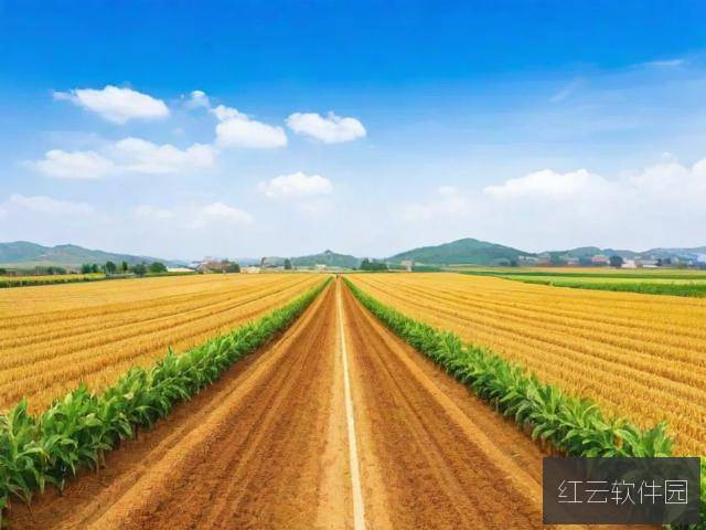 麻豆精品崛起,一区与三大产区协同发展的媒体赋能之路